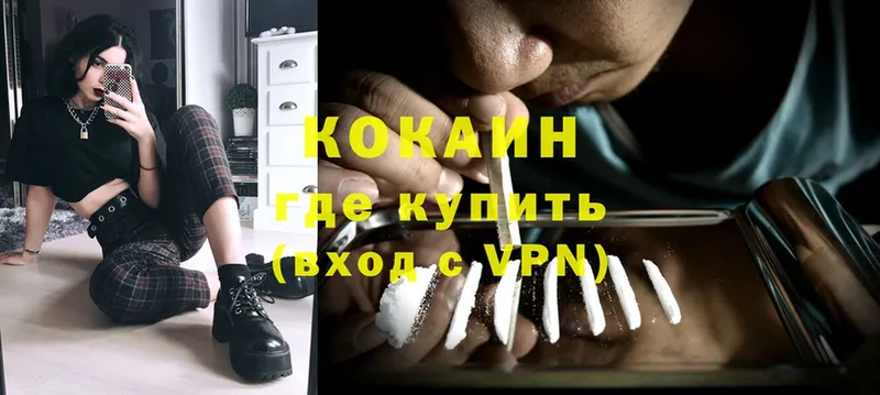 купить   Ершов  КОКАИН Fish Scale 