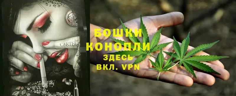 Шишки марихуана SATIVA & INDICA  Ершов 